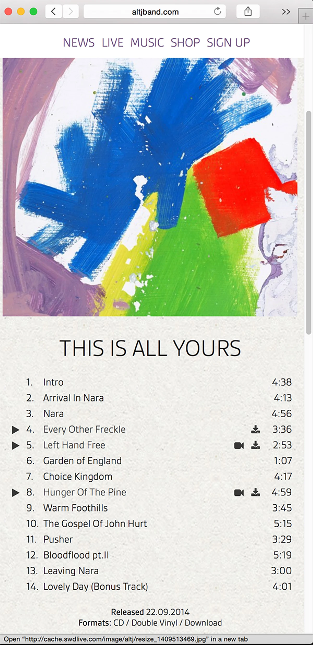 Alt-J image 6