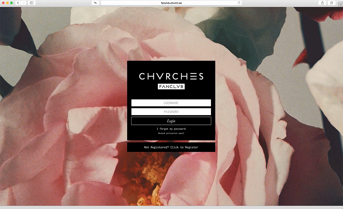 Chvrches Fanclvb image 3